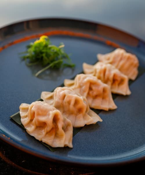 GYOZA